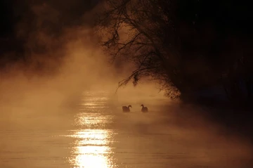 limmat im nebel3