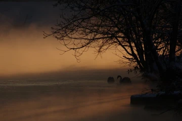 limmat im nebel4