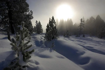winterlandschaft 2
