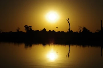 pantanal sonne