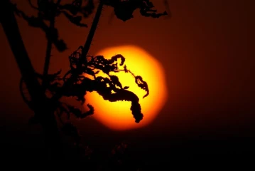 sonne