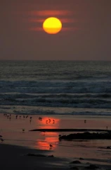 cape cross