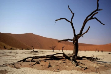 deadvlei 2