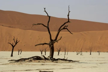 deadvlei