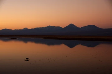 chaxa lagoa atacama8
