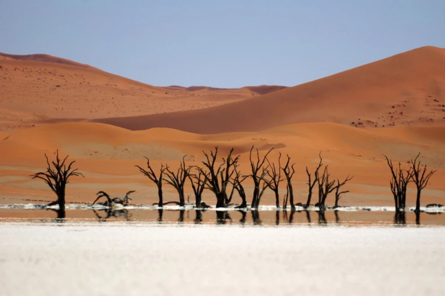 deadvlei1