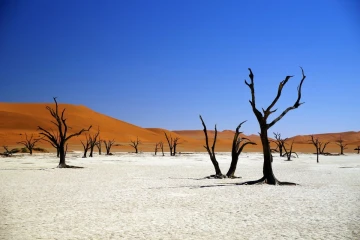 deadvlei2