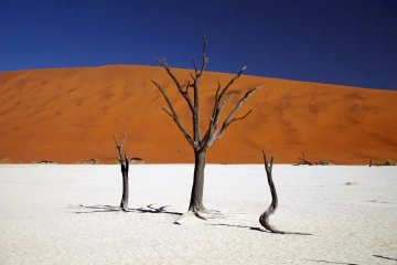 deadvlei3