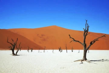 deadvlei4