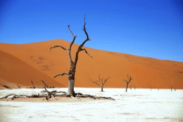 deadvlei7