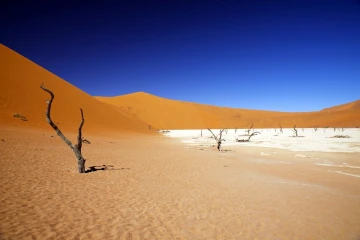 deadvlei8