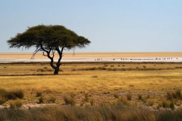 etosha