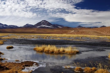 geysir tatio atacama6