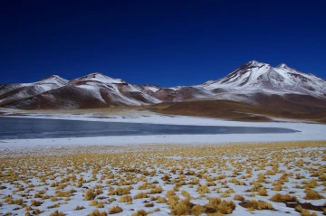 miscante atacama2
