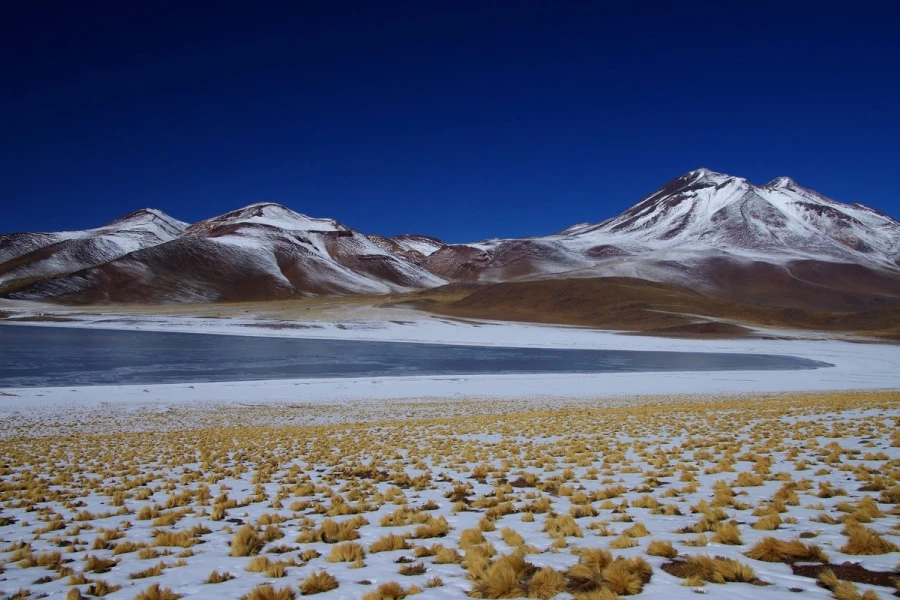 miscante atacama2