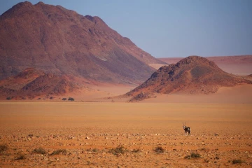 namib rand3