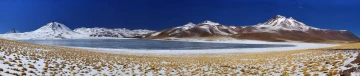 pano miscante 1b