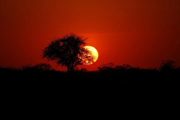 sonnenuntergang5