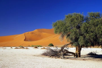 sossusvlei2