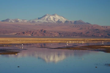 chaxa lagoa atacama1
