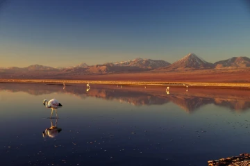 chaxa lagoa atacama3