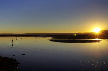 chaxa lagoa atacama4