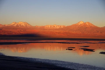 chaxa lagoa atacama5