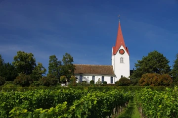 kirche hoengg3