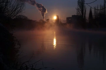 limmat im nebel1