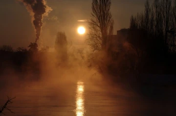 limmat im nebel2