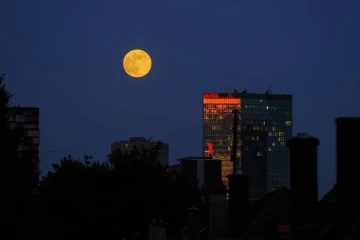 mond