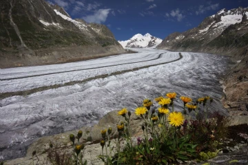 aletsch1