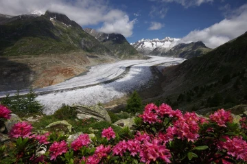 gletscher