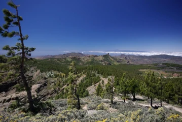 gran canaria pico de las nieves