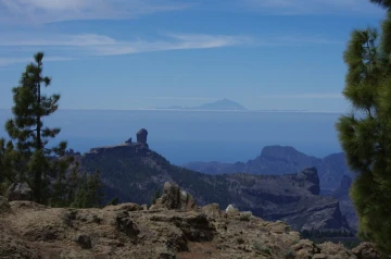 gran canaria6
