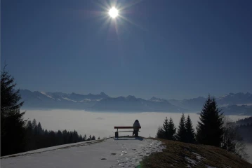 langis nebelmeer