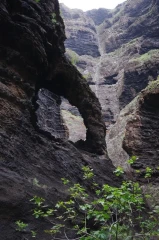masca