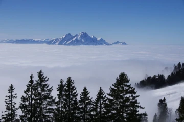nebelmeer1