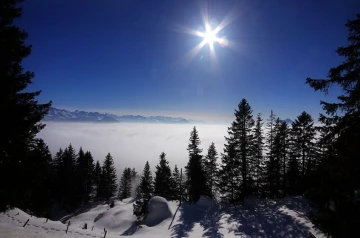 nebelmeer3