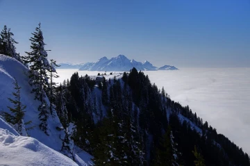 rigi2