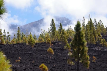 teide