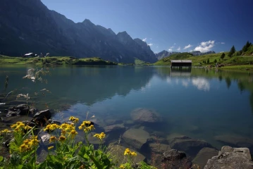 truebsee 2
