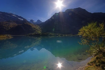 truebsee02