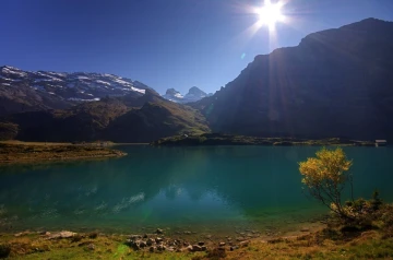 truebsee6