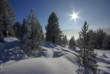 winterlandschaft