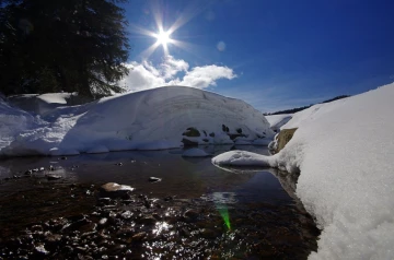 winterlandschaft01