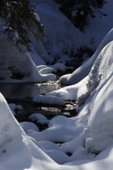 winterlandschaft02