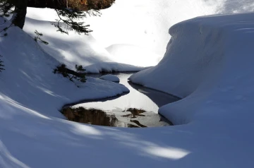 winterlandschaft03
