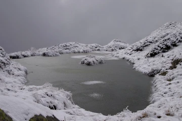 aletsch schnee1
