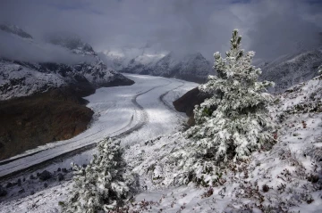 aletsch schnee3